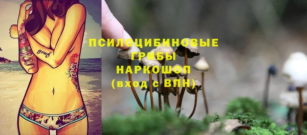ALPHA-PVP Каменногорск