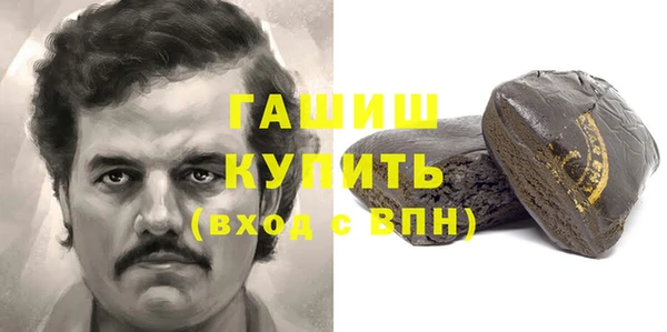 гидра Каменка