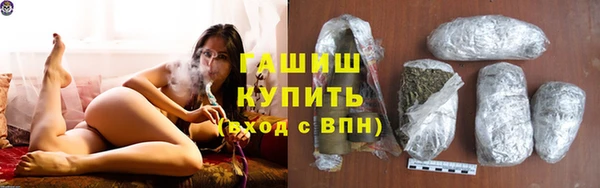 гидра Каменка