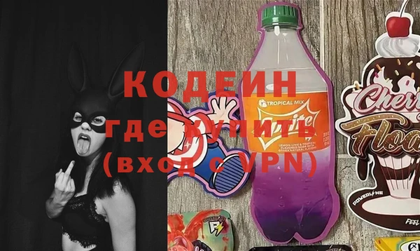 гидра Каменка