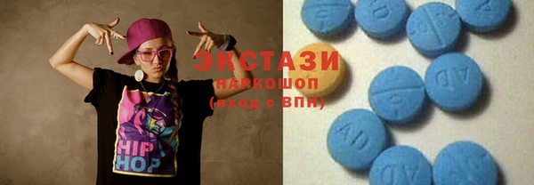 гидра Каменка
