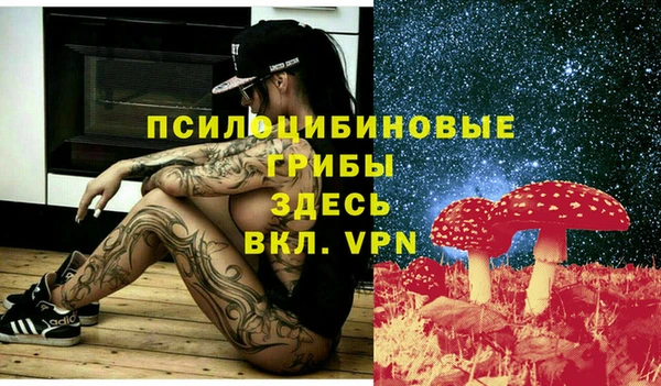 гидра Каменка