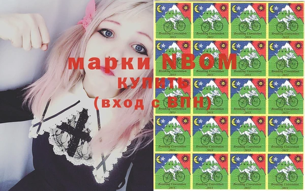 гидра Каменка