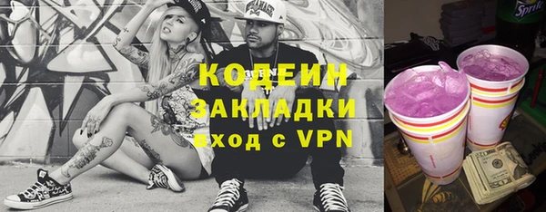гидра Каменка