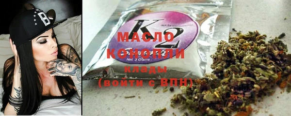 гидра Каменка