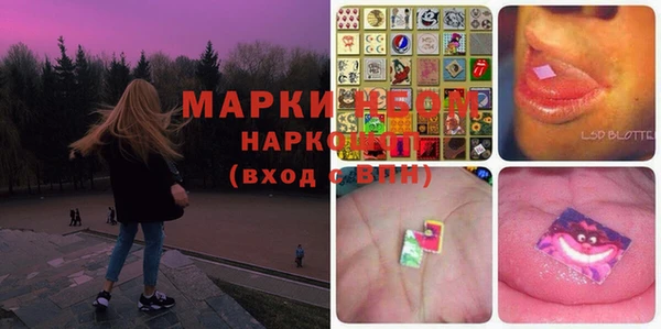 гидра Каменка