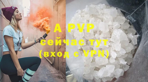 гидра Каменка