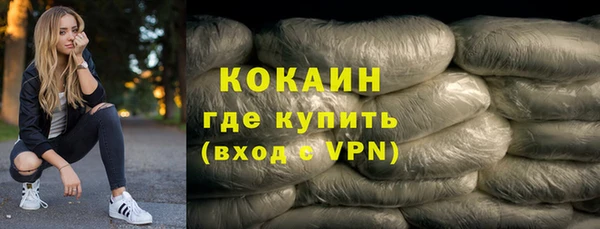 гидра Каменка