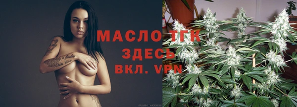 гидра Каменка