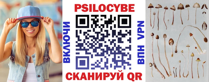 Купить закладки  Вятские Поляны  Псилоцибиновые грибы Magic Shrooms 